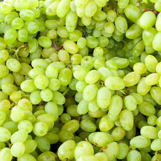 Grapes