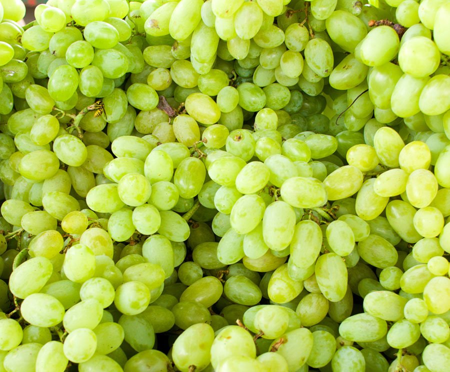 Grapes