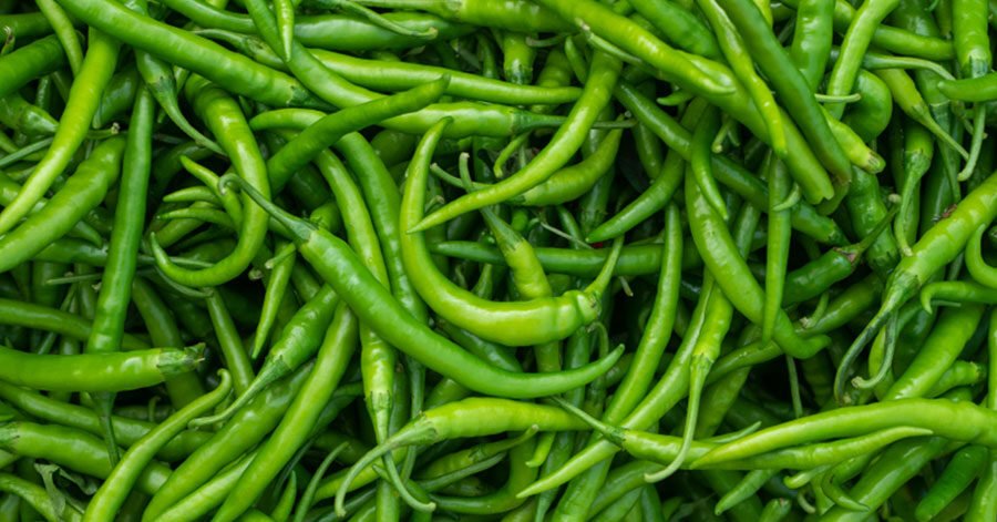 Green-Chilli