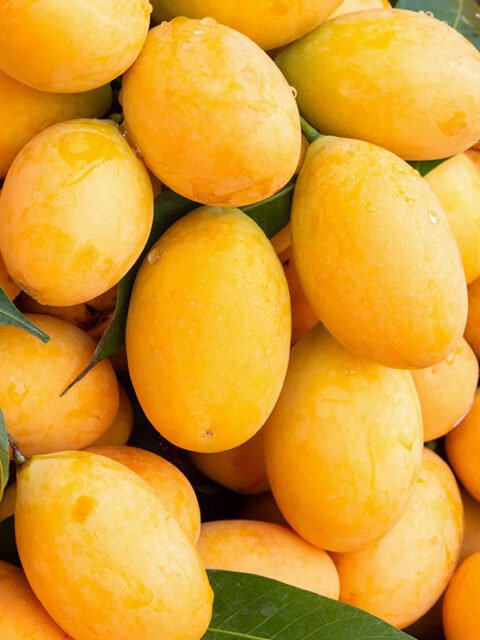 Mango