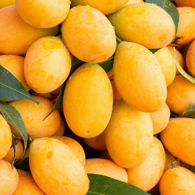 Mango