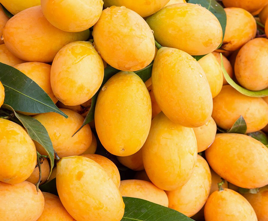 Mango