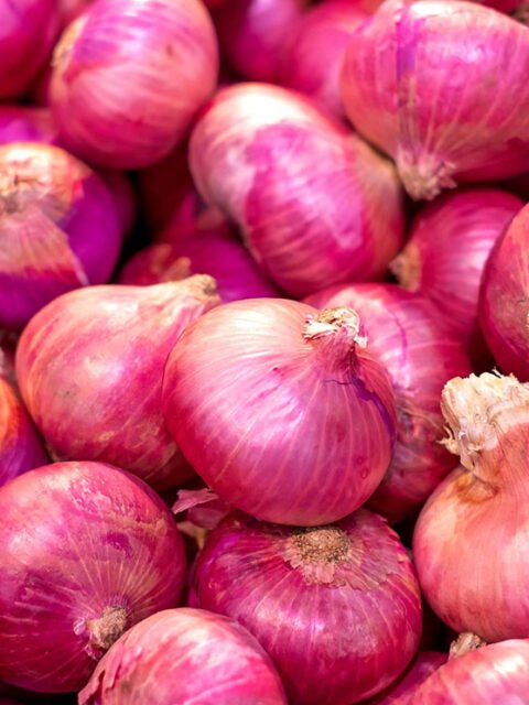 Onion